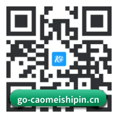 iOS 果粉吃瓜版 二维码