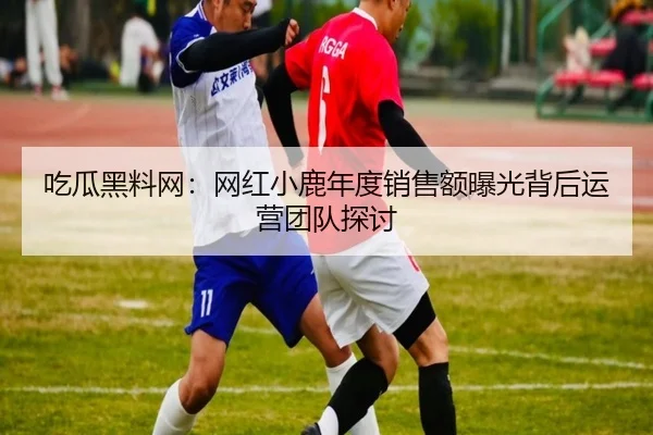 chi-gua-hei-liao-wang-wang-hong-xiao-lu-nian-du-xiao-shou-e-bao-guang-bei-hou-yun-ying-tuan-dui-tan-tao-1-448.jpg